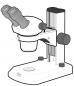 Preview: The image shows a microscope with two ocular lenses. The head is semi-circular and mounted on a stable, rectangular base. There are knobs for focus adjustment.