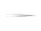Preview: The image shows a simple, long tweezer made of shiny metal. It has a pointed tip, slightly shaped, and lies flat on a white background.