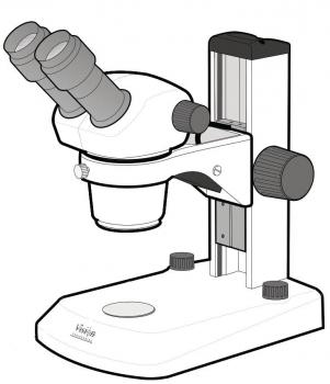 The image shows a microscope with two ocular lenses. The head is semi-circular and mounted on a stable, rectangular base. There are knobs for focus adjustment.