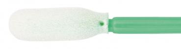 The image shows a long, green stem that ends at the top with an oval, white, sponge-like head. The head has a textured, soft surface.