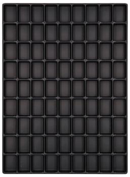 The image shows a black plastic plate with 100 rectangular indentations, arranged in 10 rows and 10 columns. The indentations are uniform and have clear contours.