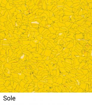 The image displays a yellow area filled with many irregular, small shapes and lines. The various shades of yellow give the surface a vibrant texture. Below it is the word "Sole".