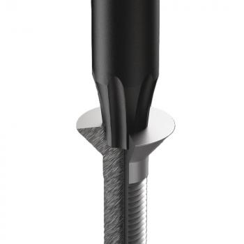 The image shows a screw head with a black, round part on top. Below it is a wider, flat metal surface. The screw has a threaded structure.