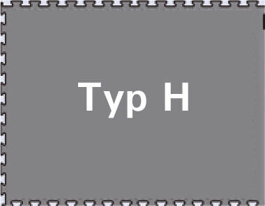The image displays a gray rectangular area with white text in the center that reads "???? ?? (Type H)." The border is adorned with a jagged line.