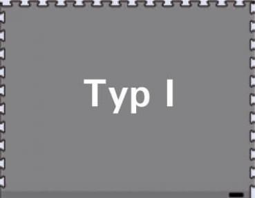 The image shows a gray, rectangular background with a continuous, jagged line at the edge. In the center is the text "Type I" in large, white font.
