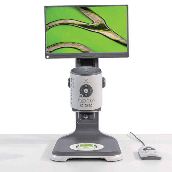 Preview: Artikelbild