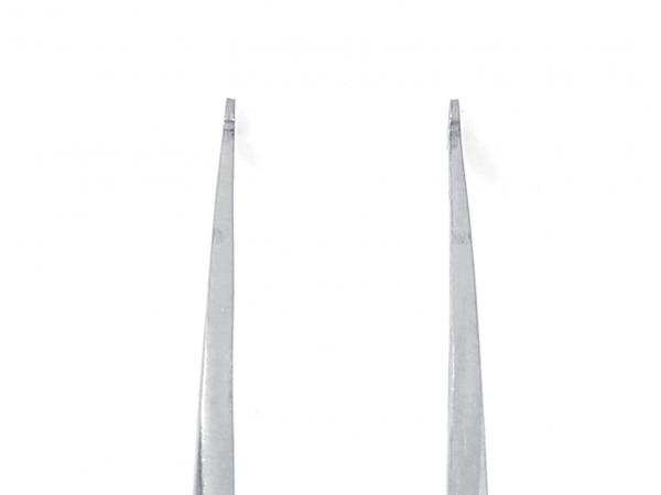 The image shows two long, straight, silver metal planks arranged parallel to each other. The ends are pointed. The background is light and inconspicuous.