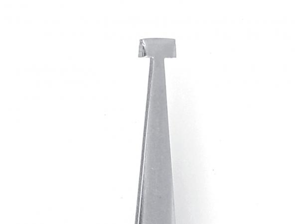 The image shows a long, metallic object with a pointed shape and a flat, square end. The surface is shiny and smooth.