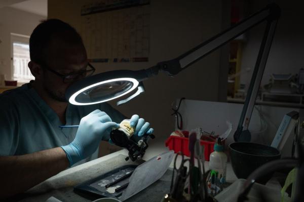 Ein Mann mit Brille und Gummihandschuhen arbeitet unter einer hellen Lupenleuchte. Er hält ein kleines Objekt in der Hand und konzentriert sich auf seine Arbeit in einem schummrigen Raum.