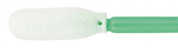 The image shows a long, green stem that ends at the top with an oval, white, sponge-like head. The head has a textured, soft surface.
