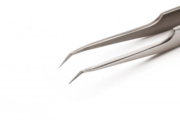 The image shows a sharp, metallic tweezer. The two arms are slightly curved and converge into two narrow tips suitable for gripping.