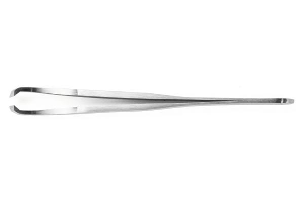 The image shows a straight, silver metal tweezer. It is slender and has two slightly curved ends that are suitable for grasping small objects.