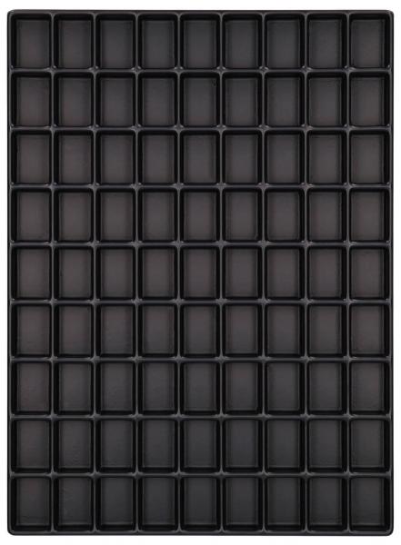 Das Bild zeigt eine schwarze Kunststoffplatten mit 100 rechteckigen Vertiefungen, angeordnet in 10 Reihen und 10 Spalten. Die Vertiefungen sind gleichmäßig und haben klare Konturen.
