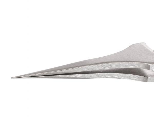 The image displays a pointed, elegant shape made up of several curved, glossy layers. It appears modern and minimalist, almost like a stylized sculpture.
