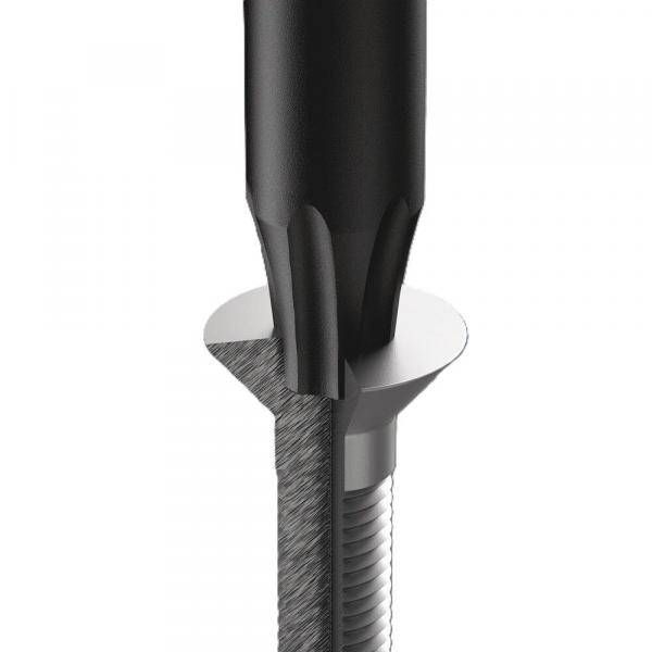 The image shows a screw head with a black, round part on top. Below it is a wider, flat metal surface. The screw has a threaded structure.