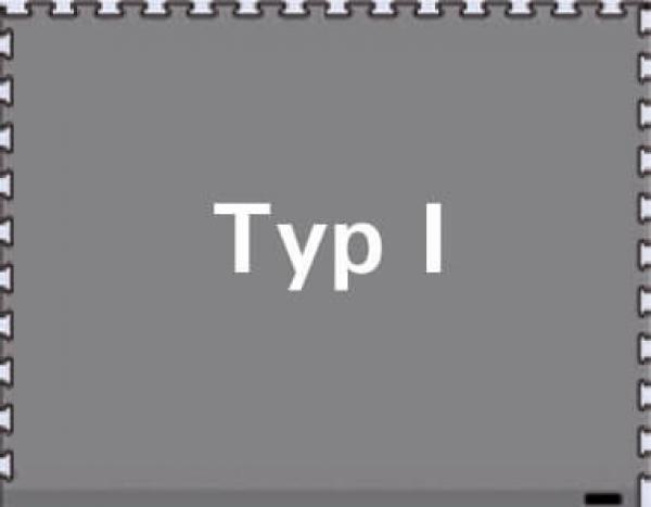 The image shows a gray, rectangular background with a continuous, jagged line at the edge. In the center is the text "Type I" in large, white font.