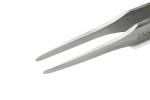 Preview: Das Bild zeigt eine metallene Pinzette. Sie hat zwei lange, spitze Klammern, die sich am Ende verjüngen. Die Oberfläche wirkt glatt und glänzend, ideal zum Greifen kleiner Objekte.